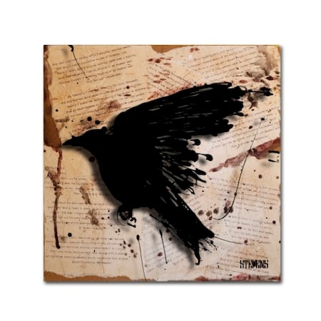 Trademark Fine Art Roderick Stevens 'The Raven 3' Canvas Art, 14x14 RS1013-C1414GG